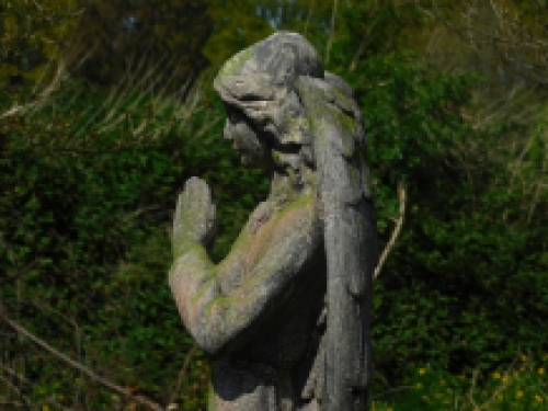 Last one: Statue Angel - polystone - 118cm