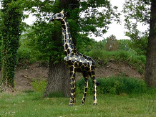 Bijzonder groot beeld ''Giraffe'' - zwart/goud van Polystone