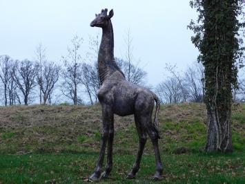 Einmalig: Giraffe XL – 180 cm – Polystone
