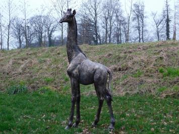 Einmalig: Giraffe XL – 180 cm – Polystone