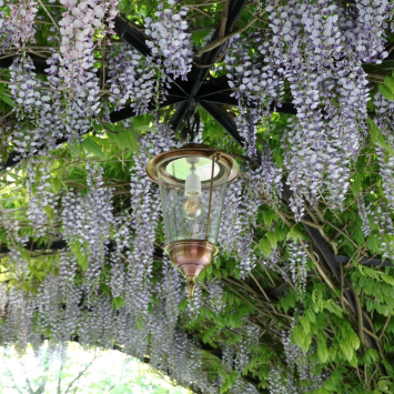 Pendant Lamp Sneek copper - Brass - on Chain - 54 cm