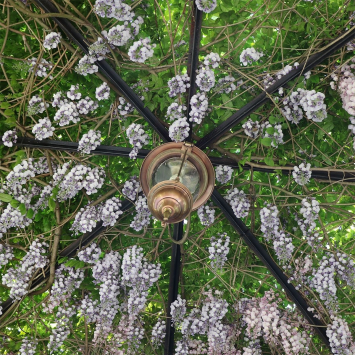 Pendant Lamp Sneek copper - Brass - on Chain - 54 cm