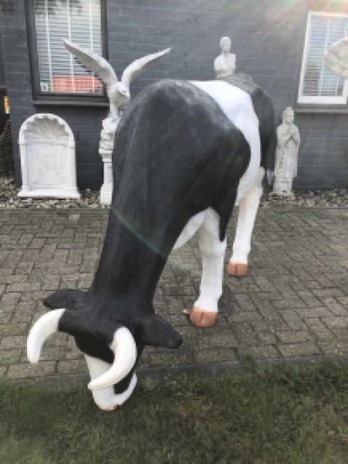 Mooie sculptuur van een grazende koe, prachtig in kleur gezet, echte eye-catcher!!