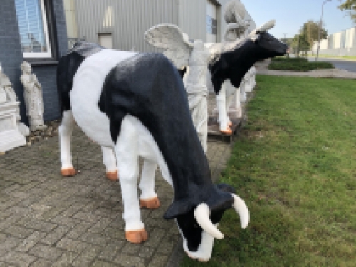 Mooie sculptuur van een grazende koe, prachtig in kleur gezet, echte eye-catcher!!