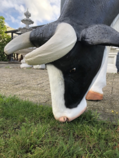 Mooie sculptuur van een grazende koe, prachtig in kleur gezet, echte eye-catcher!!