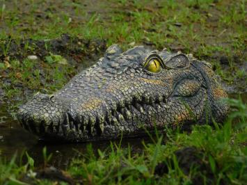 Krokodilkopf - 35 cm - Polystone