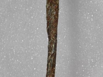 Künstliche Blume Lilienzweig - Lila - 74 cm