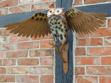 Sculpture Owl XL - Wall decoration - Metal