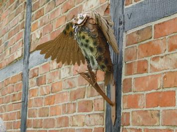 Sculpture Owl XL - Wall decoration - Metal