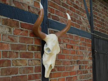 Großer Stierschädel – 70 cm – Polystone