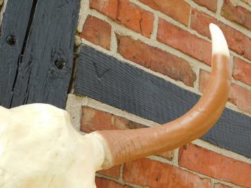 Großer Stierschädel – 70 cm – Polystone