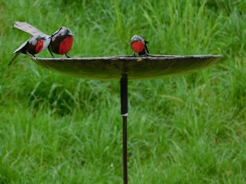 Eenmalig: Vogelvoeder - bad - 3 Vogeltjes Rood Zwart - Handgemaakt