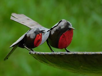 Eenmalig: Vogelvoeder - bad - 3 Vogeltjes Rood Zwart - Handgemaakt