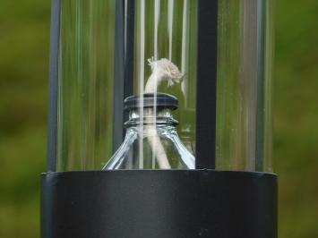 Oil lamp XL - Black - Metal and glass - Lantern - Hangable